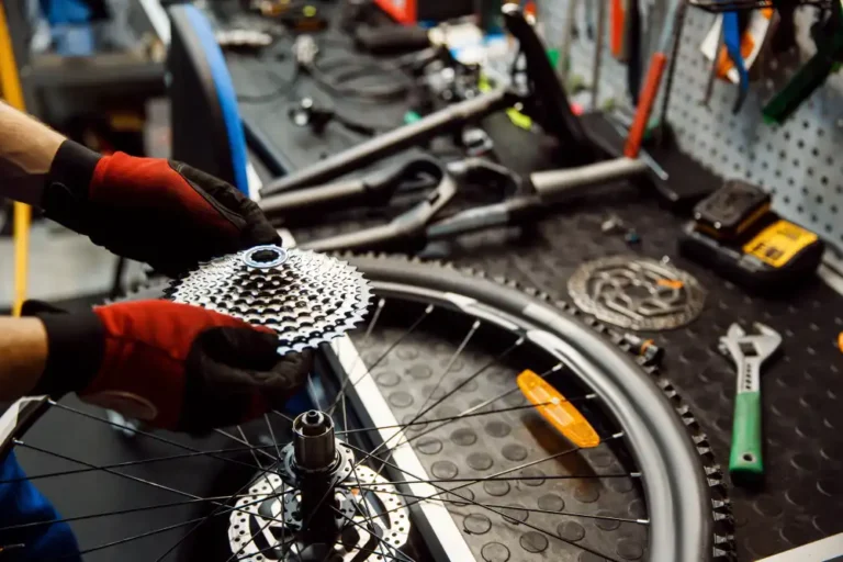 Bike Major Overhaul Service