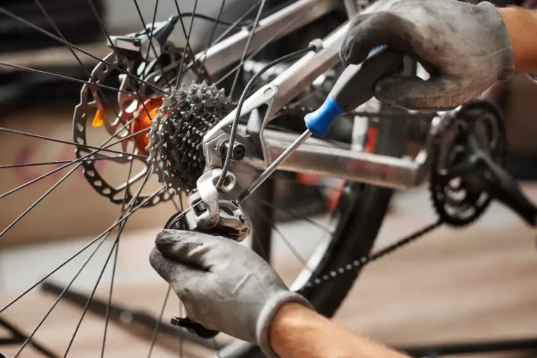 Bike Repair Service