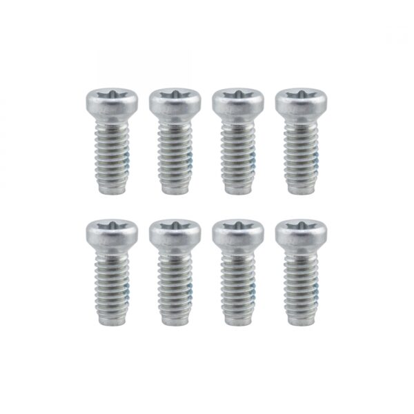 CHAINRING BOLT SET SRAM 8pc TORX f/DIRECT MOUNT RINGS/SPIDERS SL