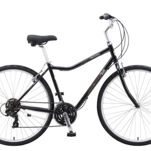 BIKE SUN NORTH BAY STL M16.5 21S BK