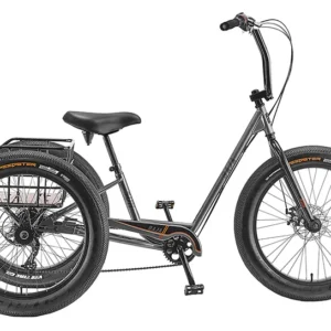 TRIKE SUN BAJA GREY
