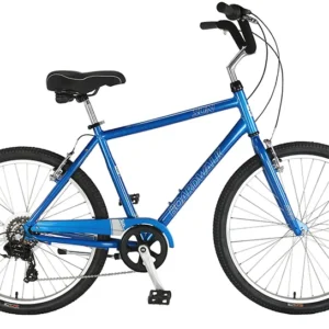 BIKE SUN BOARD WK ALY M20 7sp M-BLU