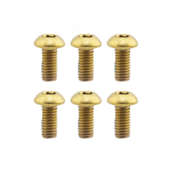 BRAKE PART OR8 DISC BOLTS M5x10 TORX GD PKof6