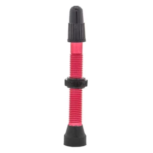 VALVE TUBELESS WTB PV 46mm ALY RD TCS