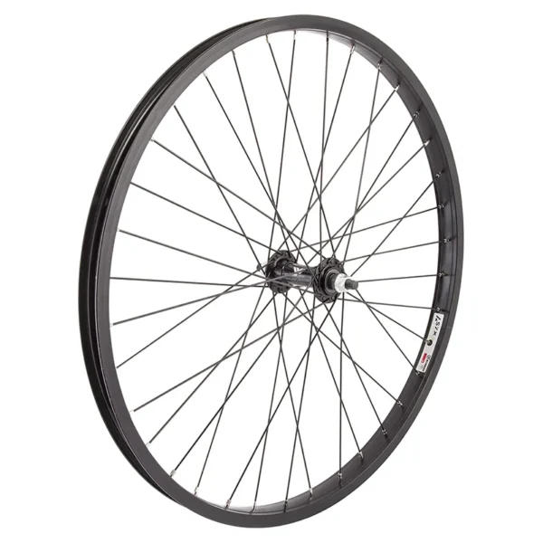 WHL FT 24x1.75 507x25 ALY BK 36 ALY BO 3/8 BK DTI2.0BK SIL NIP
