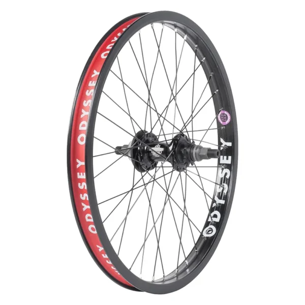 WHL RR ODY QUADRANT CASS V2 36 9t LHD 14mm BK