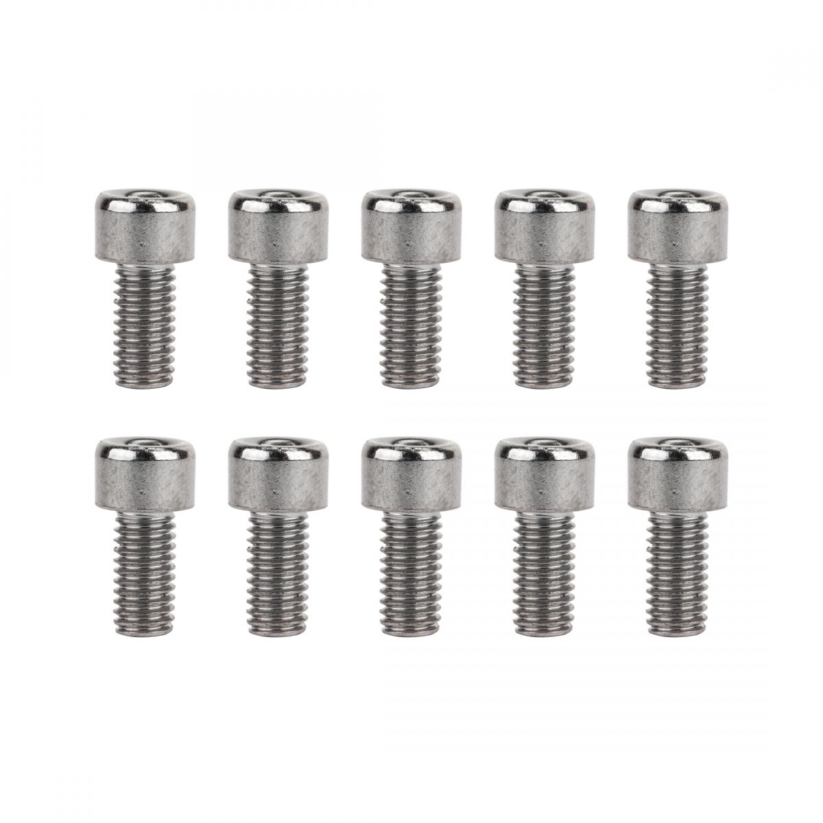 BOTTLE CAGE SUNLT BOLT f/BZON 5x.8x10mm BGof10