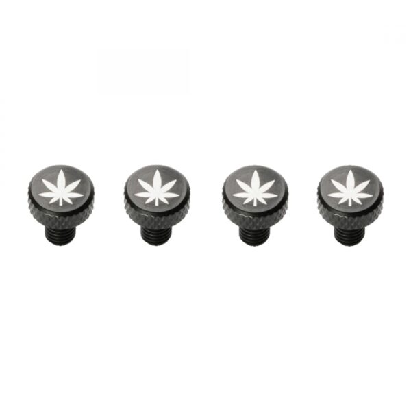 HARDWARE BOLTS PDW DECORATIVE ZIT BITZ M5 LEAF STof4