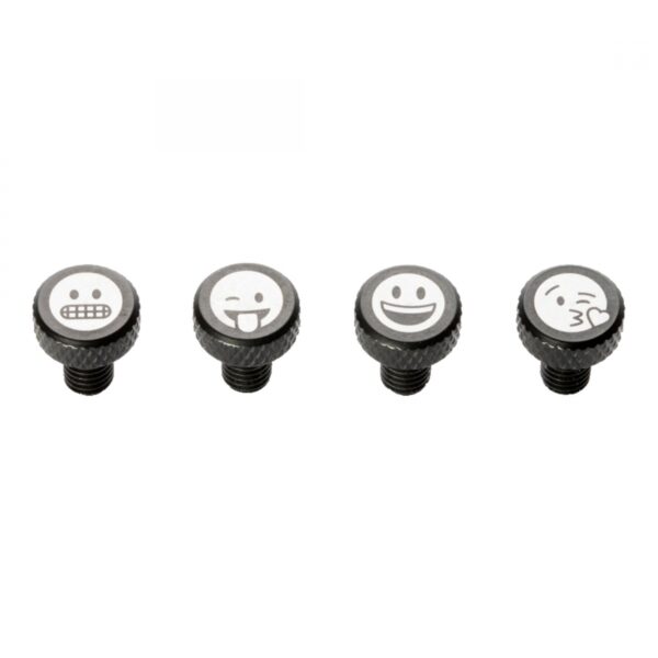 HARDWARE BOLTS PDW DECORATIVE ZIT BITZ M5 FACES STof4