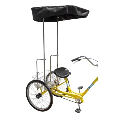 Adult Trike